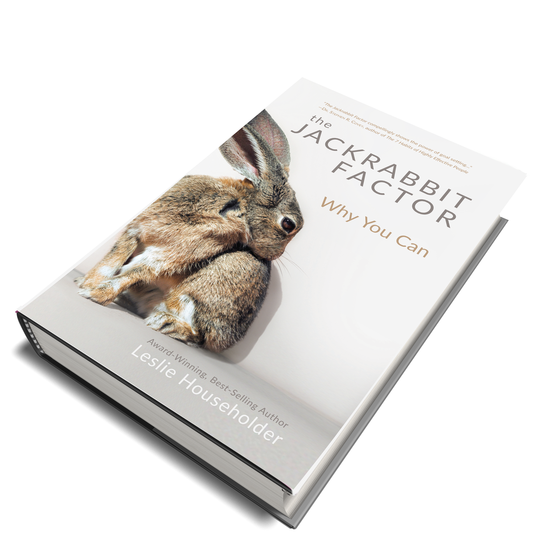 🟡 The Jackrabbit Factor - paperback or hardback — Clearance